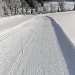 Holzer Sankt Michael im Lungau