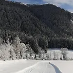 Holzer * Sankt Michael im Lungau