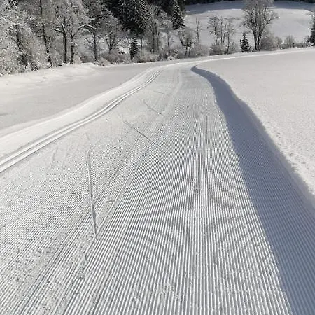 Holzer Sankt Michael im Lungau