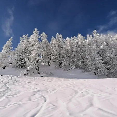 Holzer شقة سانكت مايكل ايم لون