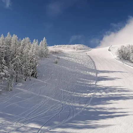 Apartamento Holzer *