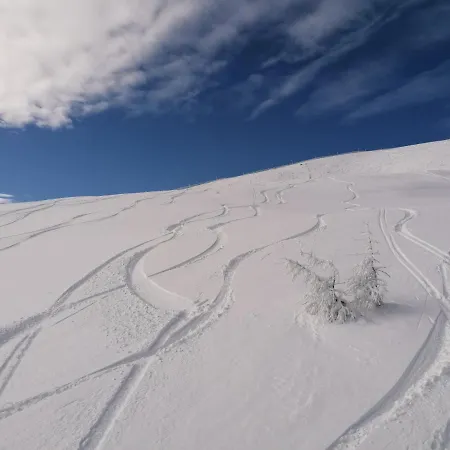 Appartement Holzer Sankt Michael im Lungau