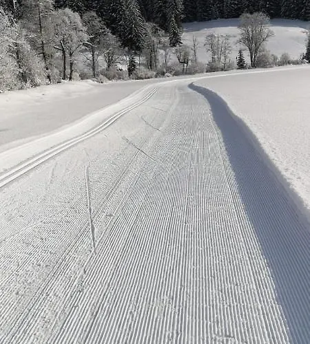 Holzer Sankt Michael im Lungau