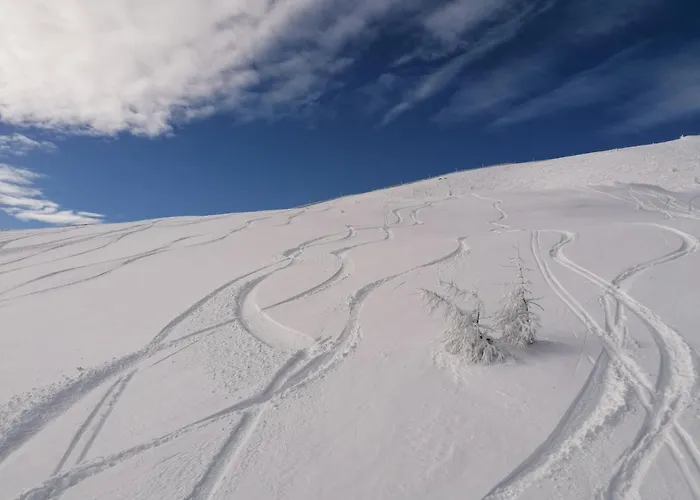 Apartamento Holzer Sankt Michael im Lungau